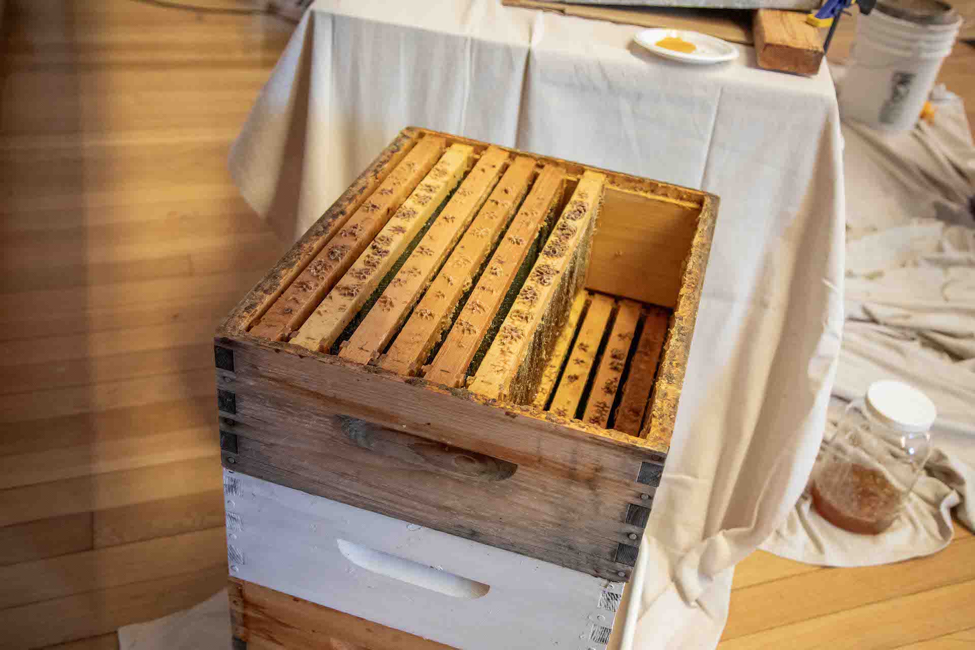 honey extraction day honey frames