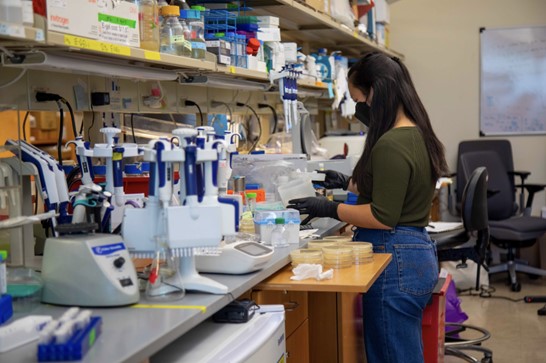 Image of student working in research lab