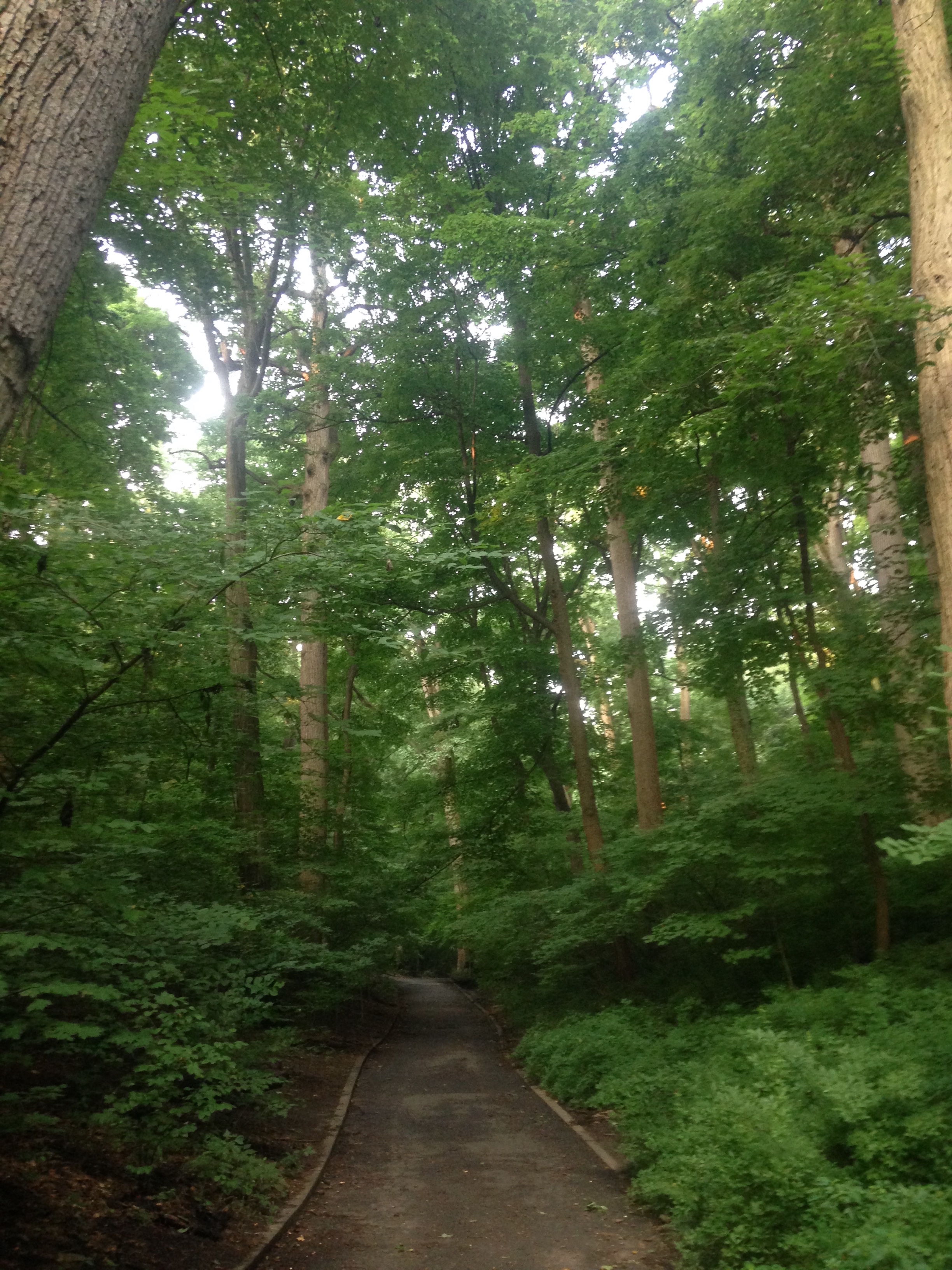 Get Outside & Explore Inwood Hill Park