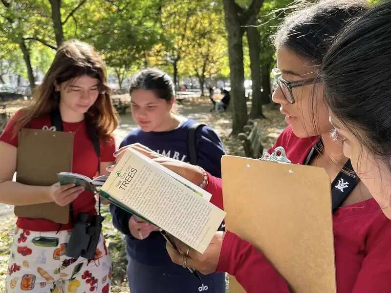 students looking img